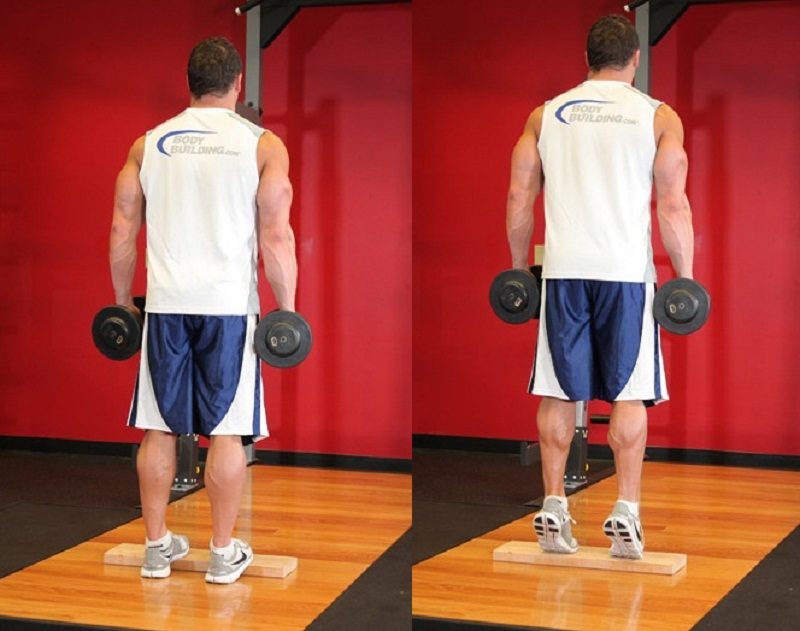 Standing-Dumbbell-Calf-Raise